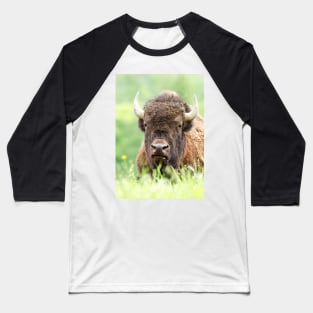 Bison Baseball T-Shirt